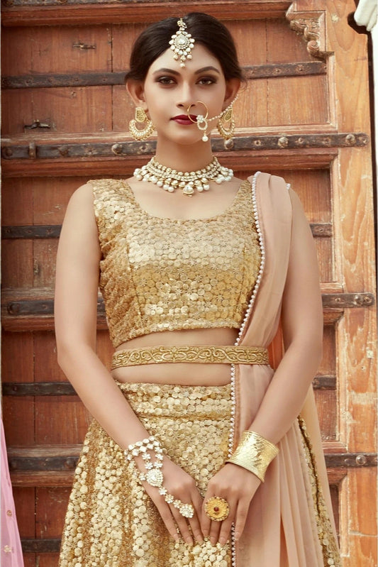 Beige Soft Net Embroidery Lehenga Choli NCLC10810507