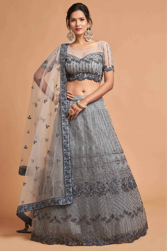Grey Net Lehenga Choli NCLC10110354