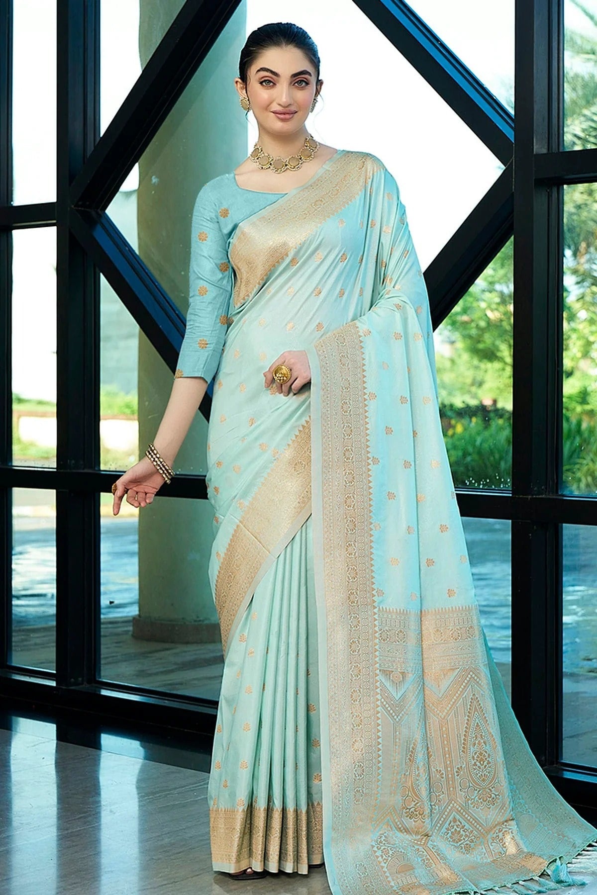 Sky Blue Nylon Banarasi Traditional Saree NCSD11111502