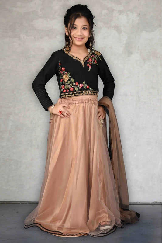 Beige Net Embroidery Lehenga Choli NCGW10710791