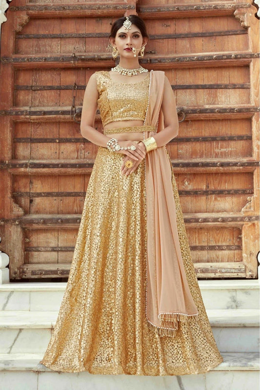 Beige Soft Net Embroidery Lehenga Choli NCLC10810507