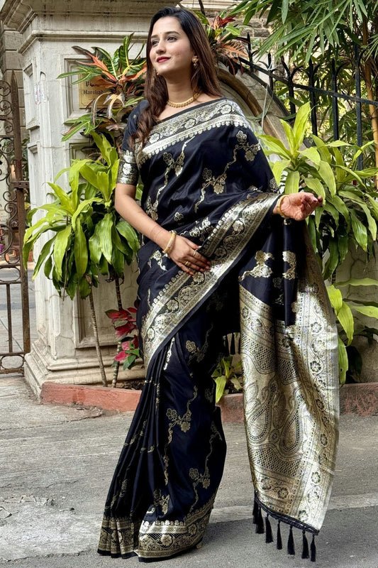 Black Banarasi Silk Traditional Saree NCSD11111635