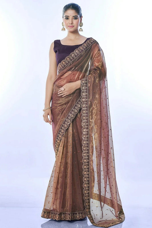 Brown Net Designer Saree NCSD11111813