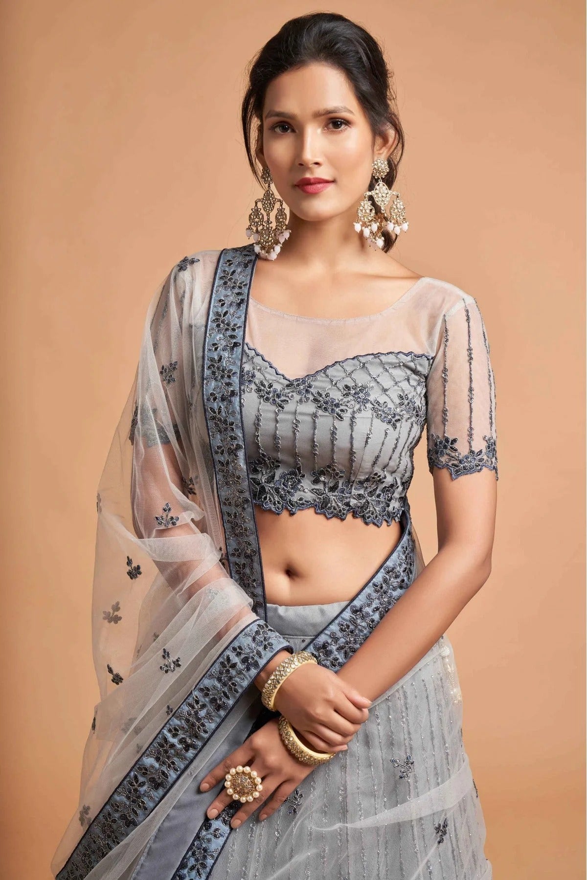 Grey Net Lehenga Choli NCLC10110354