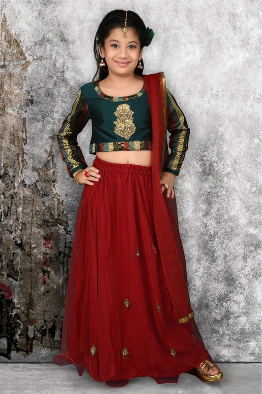 Maroon Net Embroidery Lehenga Choli NCGW10710794