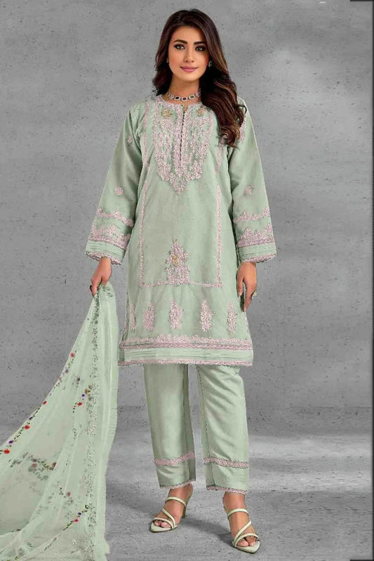 Pista Green Organza Pakistani Suit NCSM11410243