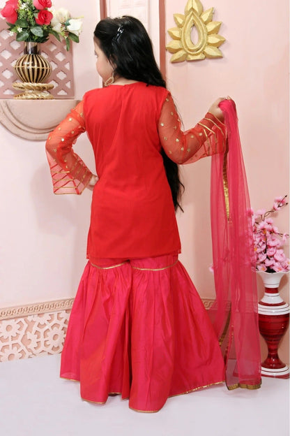 Red Net Embroidery Sharara Suit NCGW10710781