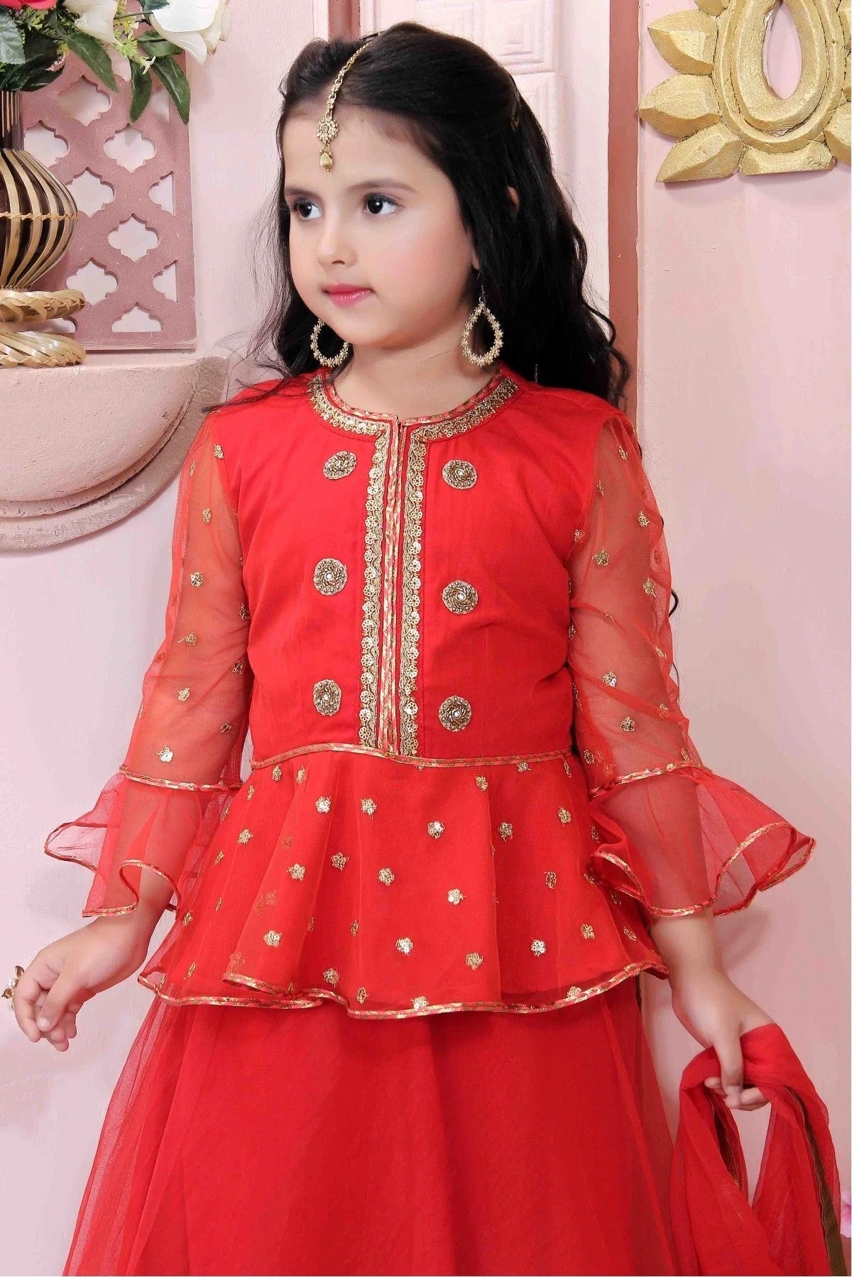 Red Net Party Wear Lehenga Choli NCGW10710765-10