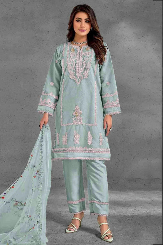 Sky Blue Organza Pakistani Suit NCSM11410242