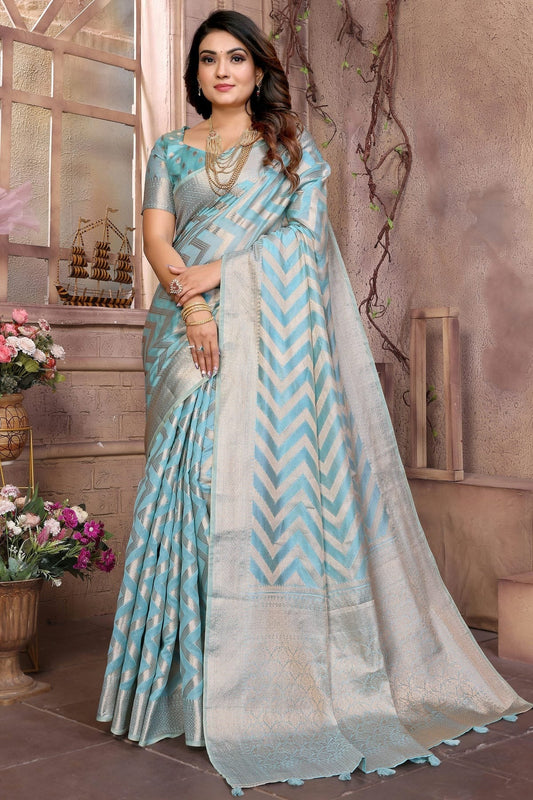 Sky Blue Organza Saree NCSD11111059